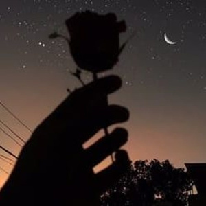 18🈲🍆🍑无套直国产欧美
