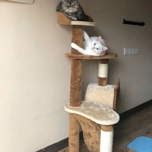 18🈲🍆🍑无套直国产欧美
